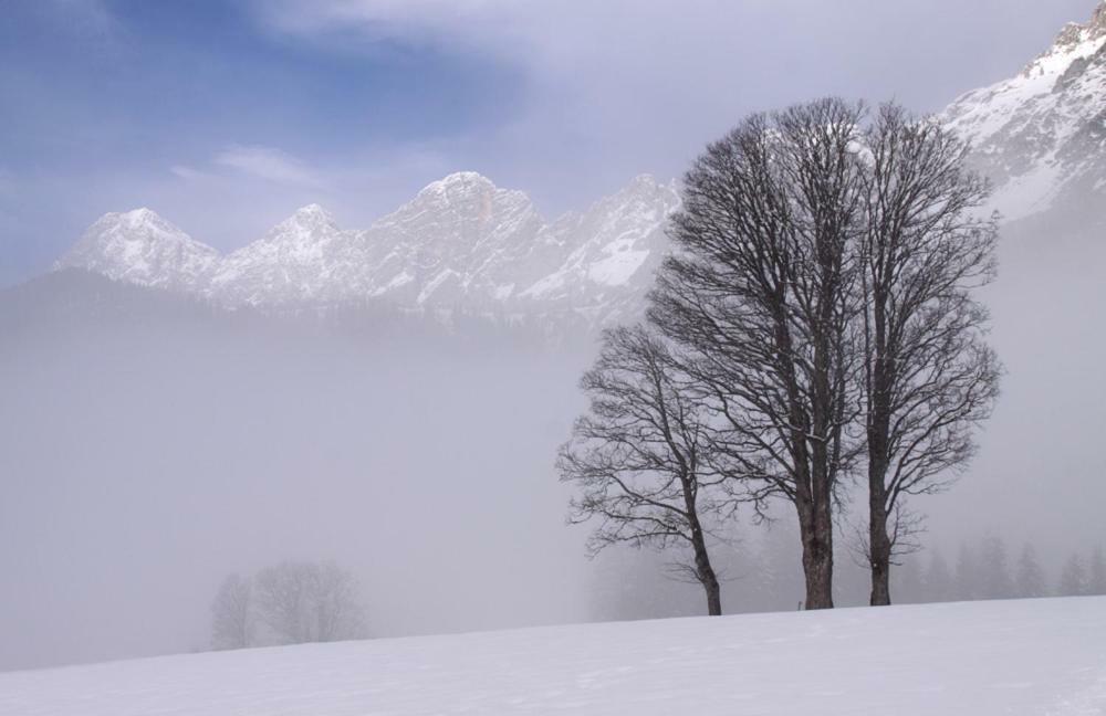 Bergfuehrerhaus Ramsau am Dachstein Exterior foto