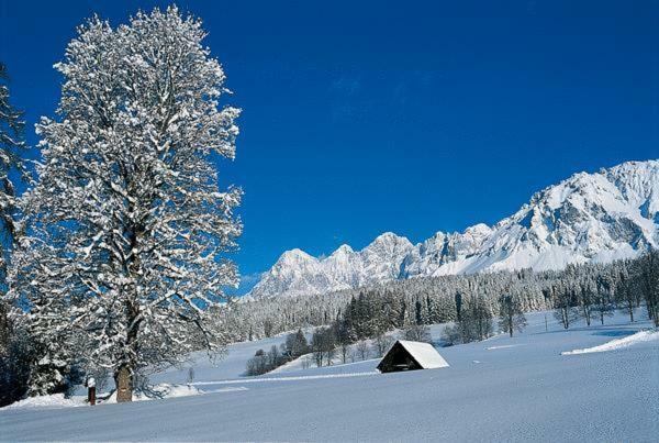 Bergfuehrerhaus Ramsau am Dachstein Exterior foto
